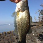 久々の釣行