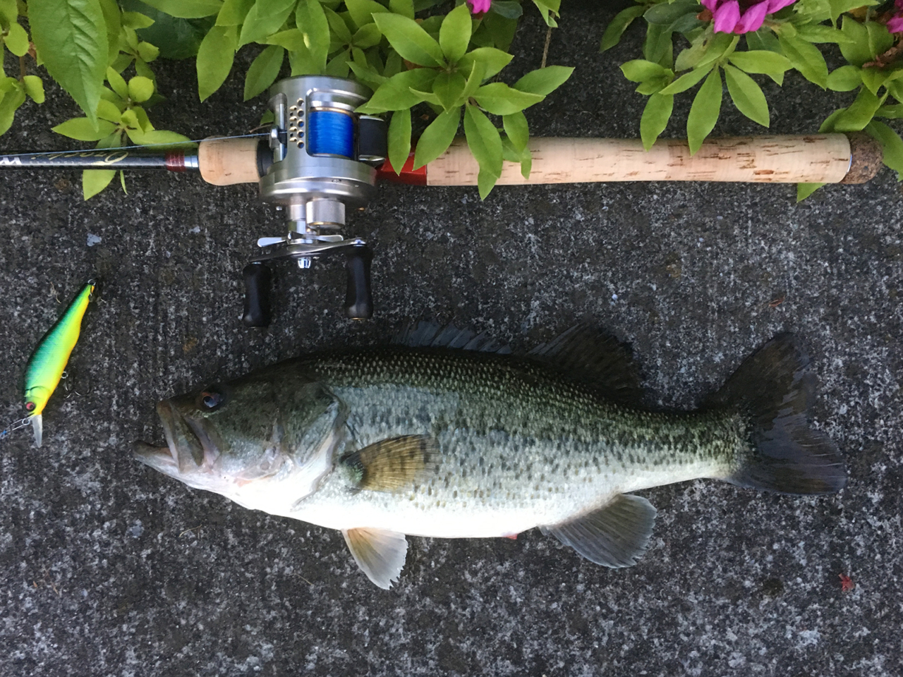 X-80トリックダーター｜F4.1/2-68XX｜瀬田川