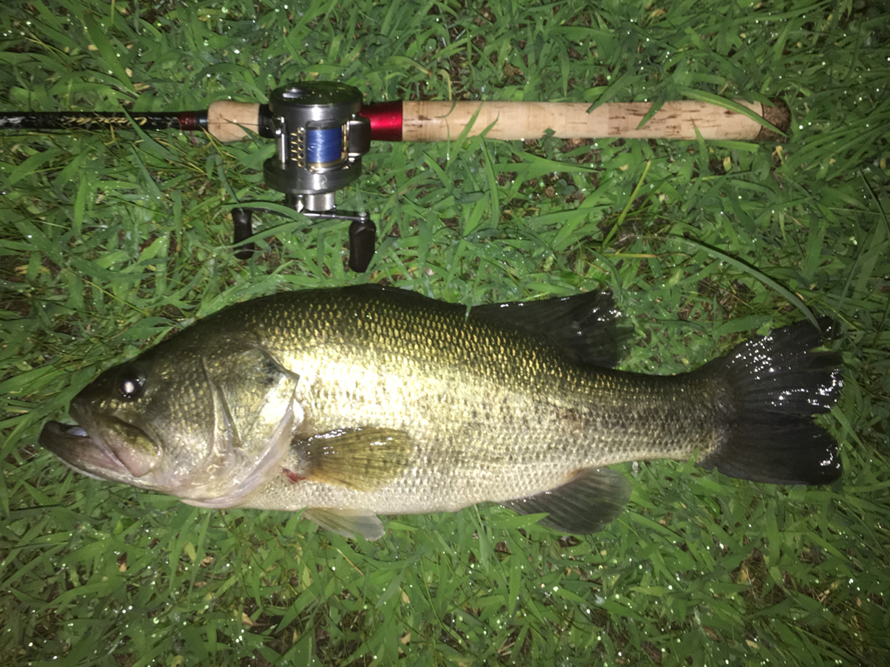 テクノペンシル｜F4.1/2-68XX｜琵琶湖