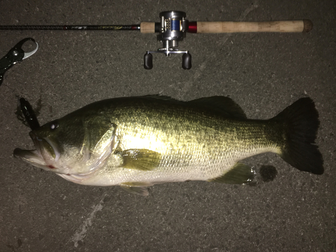 テクノペンシル｜F4.1/2-68XX｜琵琶湖