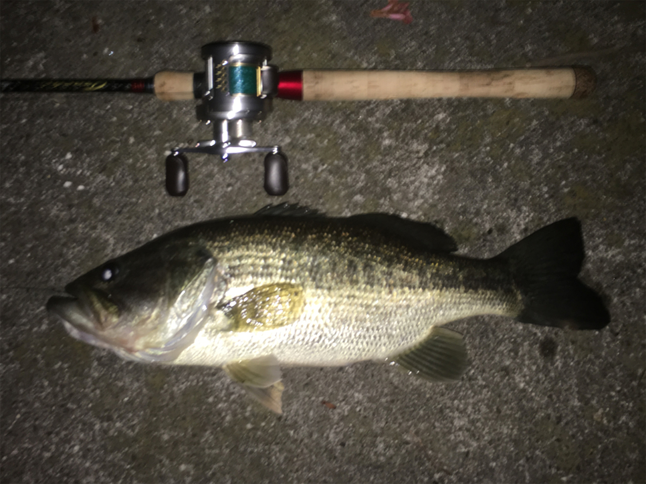 サイドステップ95｜F4.1/2-68XX｜瀬田川