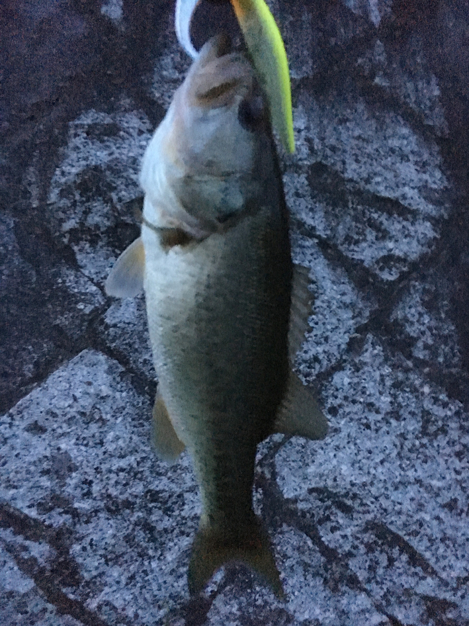 サイドステップ95｜F4.1/2-68XX｜瀬田川