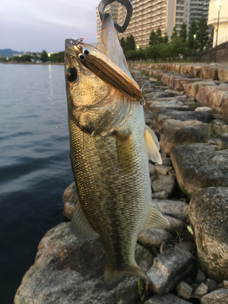 テクノペンシル｜F4.1/2-68XX｜琵琶湖