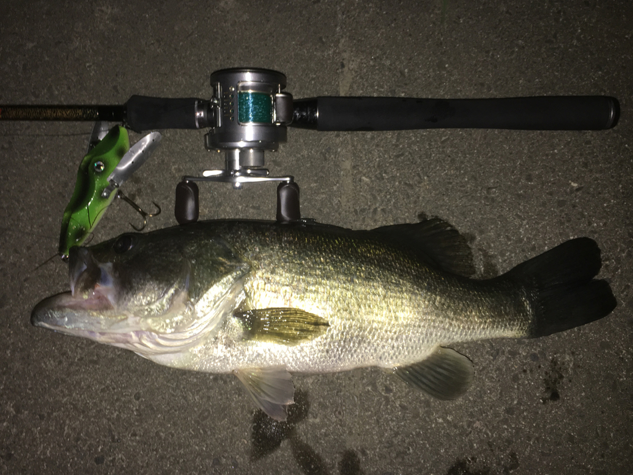 クリーパー|NEO-68XX|琵琶湖