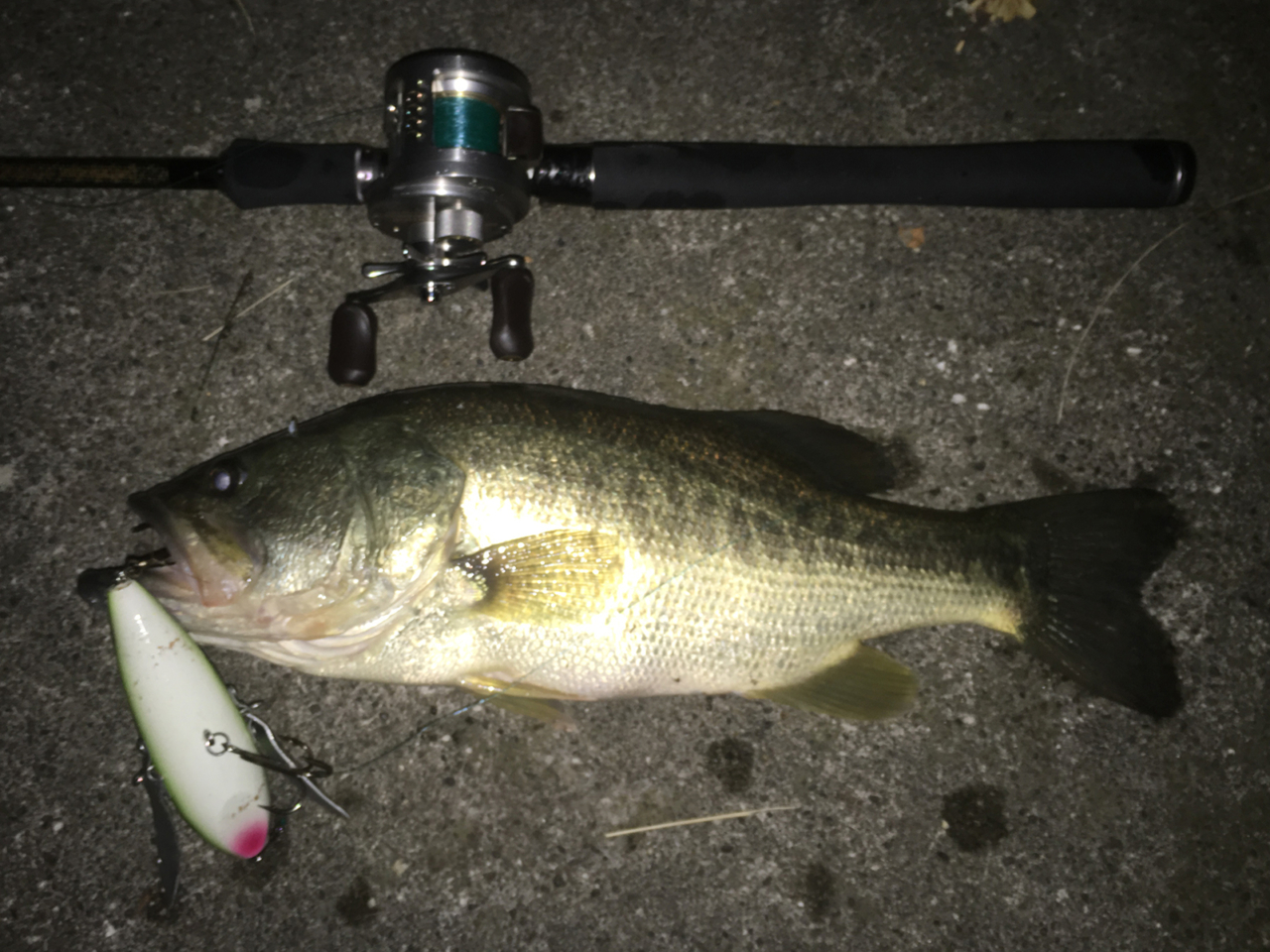 リーパー｜NEO-68XX｜琵琶湖