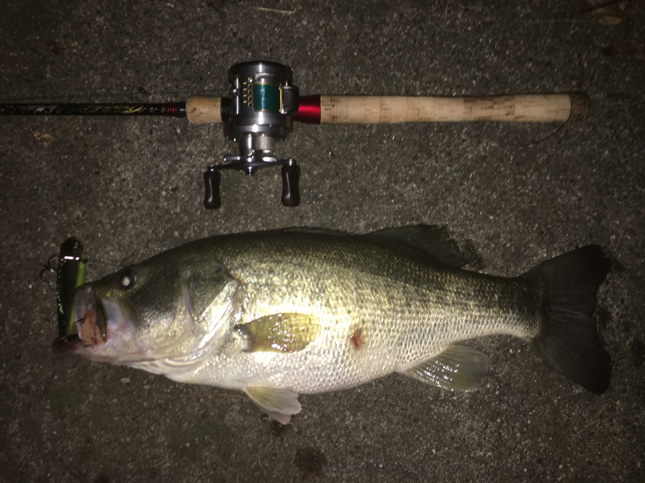 マグナムギルソニック（イマカツ）｜瀬田川