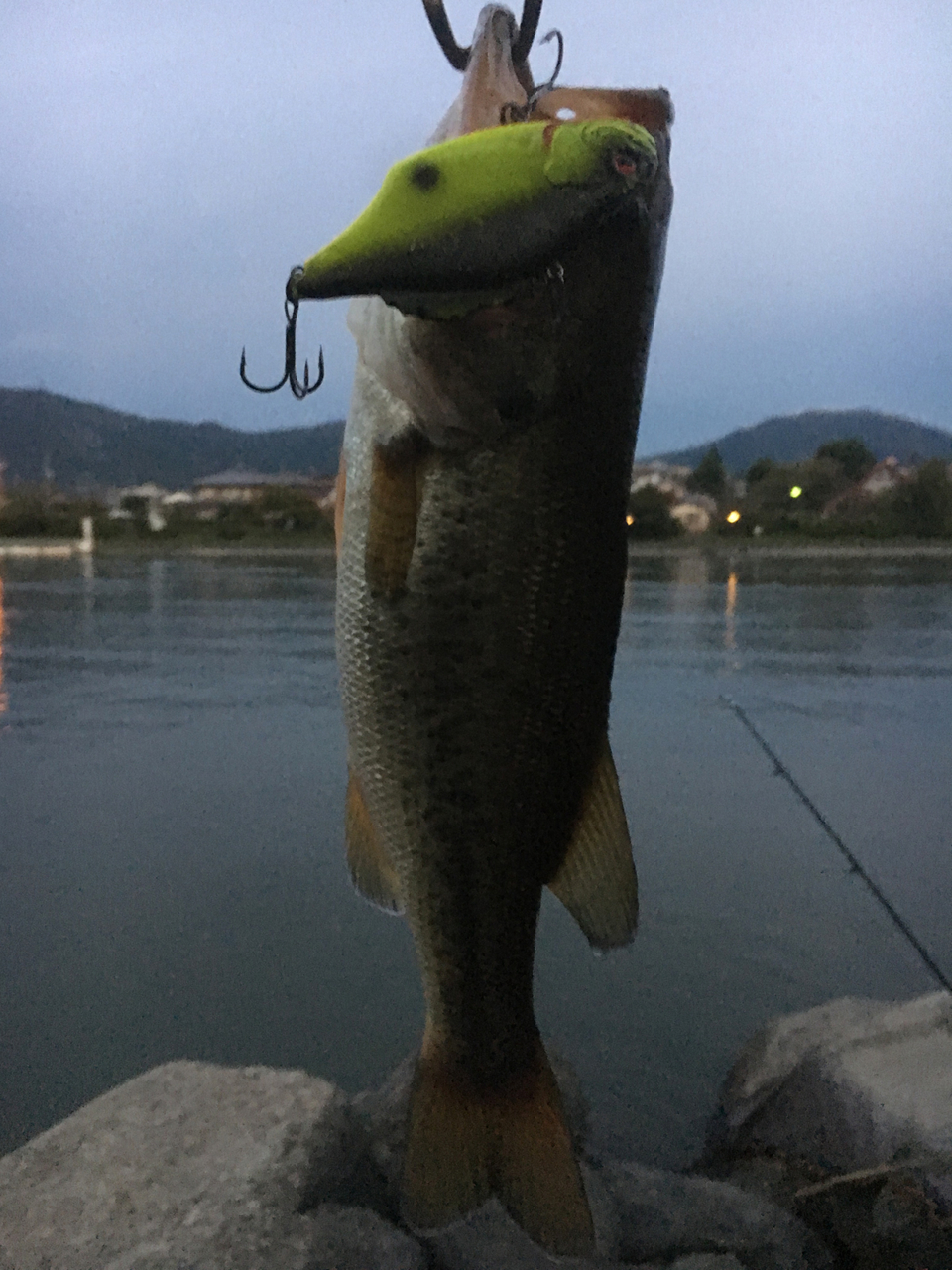 マグナムルアー｜マグナムギルソニック｜瀬田川