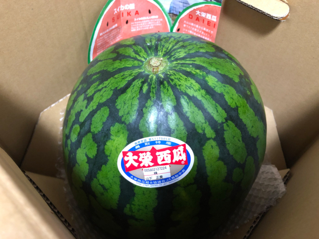 スイカを頂きました!!