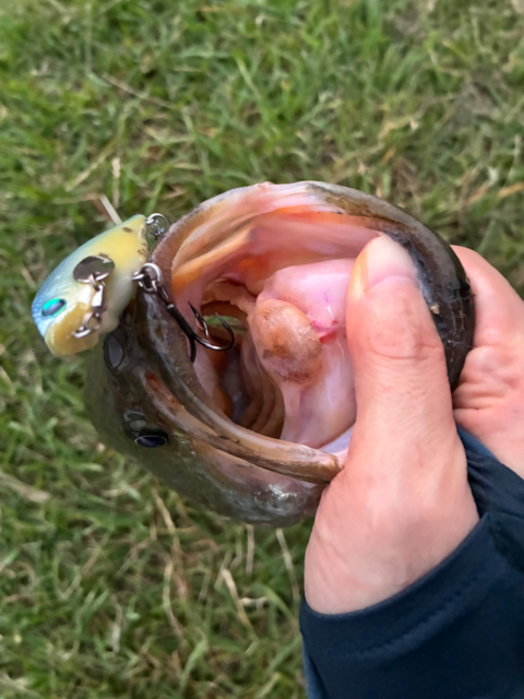 全開放流